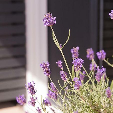 Bentleys Coast And Country B&B Lymington Exteriér fotografie