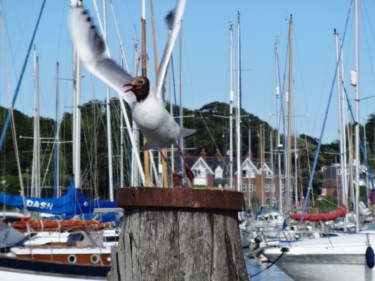 Bentleys Coast And Country B&B Lymington Exteriér fotografie